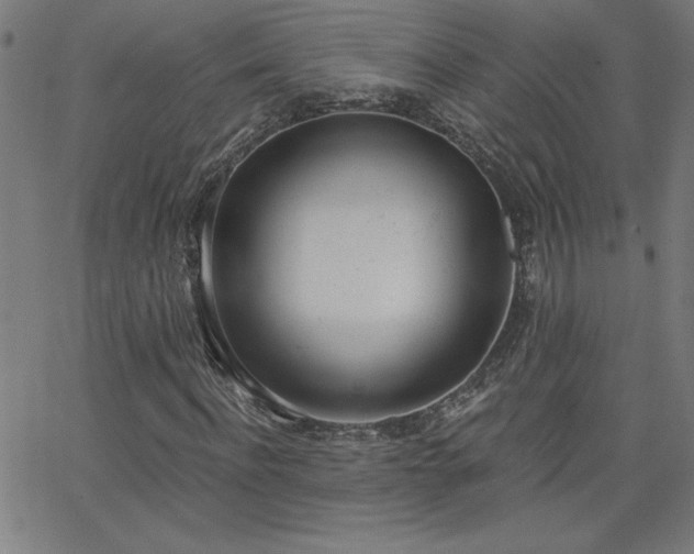 X0000068760916200604281208
