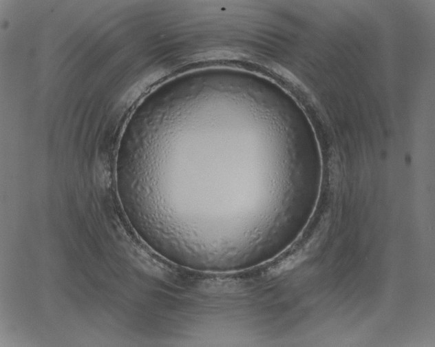 X0000068760929200604281209
