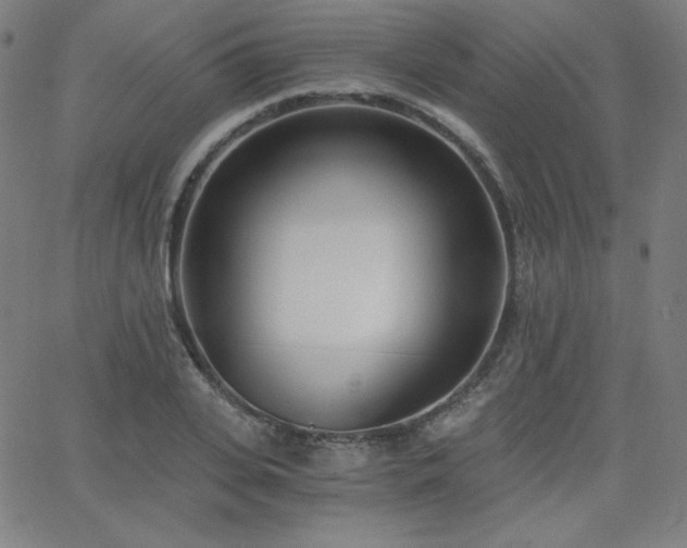 X0000068760935200604281209
