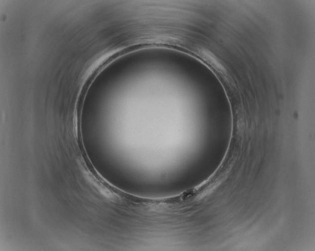 X0000068760940200604281209