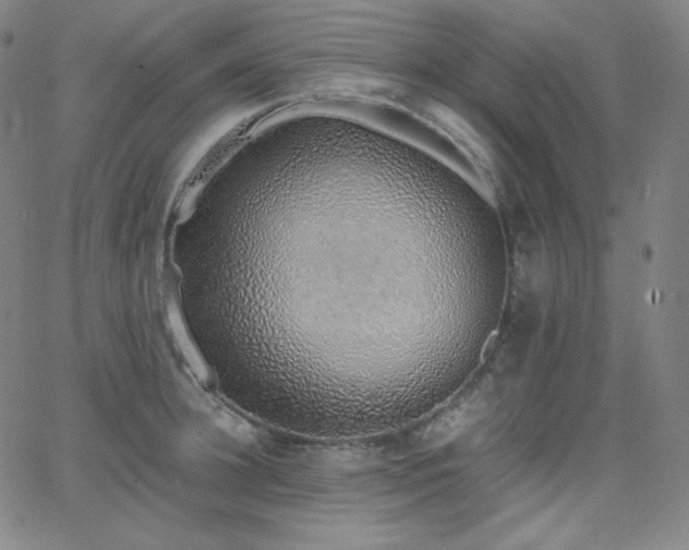 X0000068760948200604281209