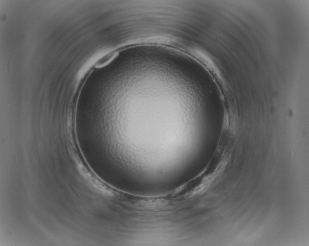 X0000068760952200604281209