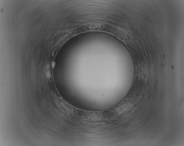 X0000068760962200604281208