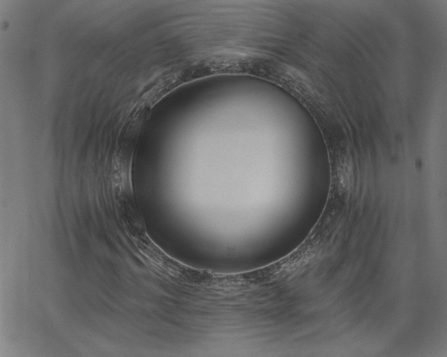 X0000068760964200604281208