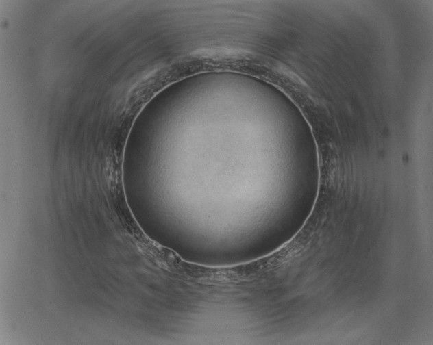 X0000068760966200604281208
