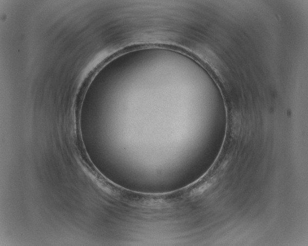 X0000068760982200604281208