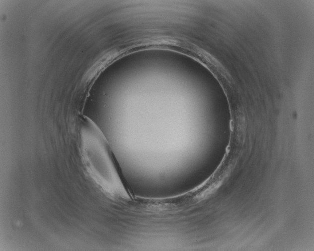 X0000068760985200604281208