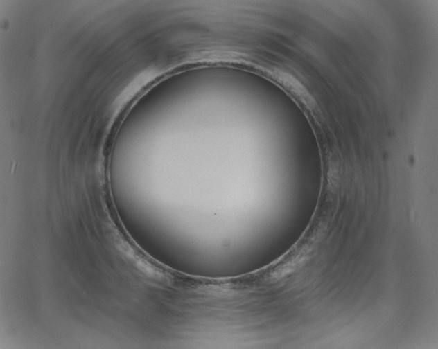 X0000068760990200604281208