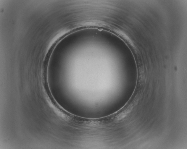 X0000068760991200604281208