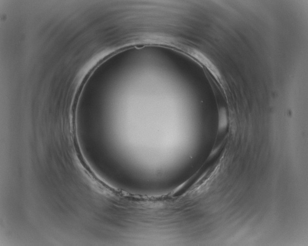 X0000068760996200604281208