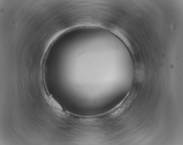 X0000068761004200604281208