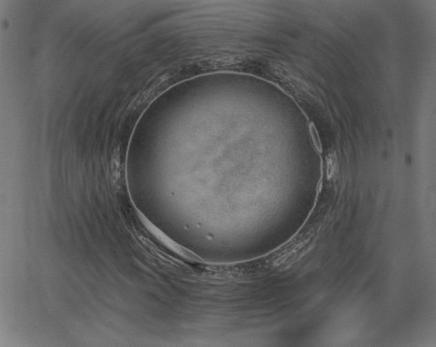 X0000068761011200604281207