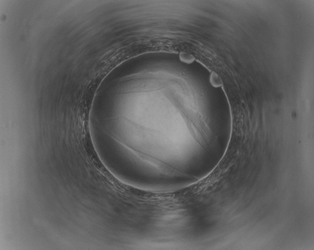 X0000068761013200604281207