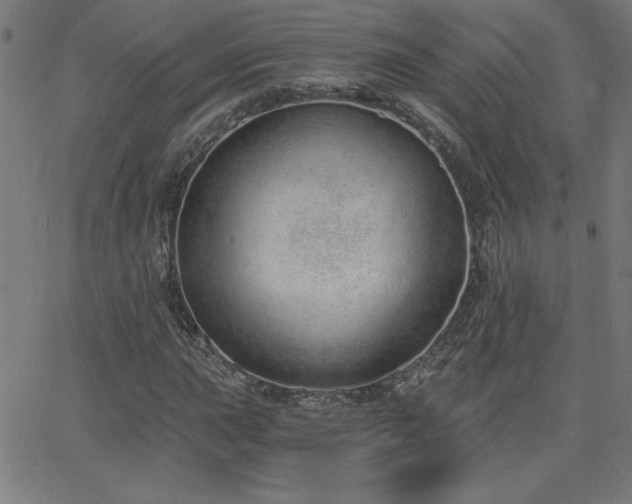 X0000068761015200604281207