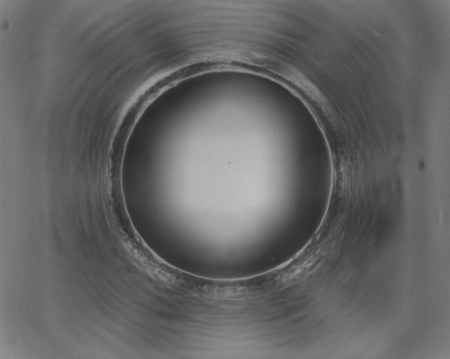 X0000068761020200604281207