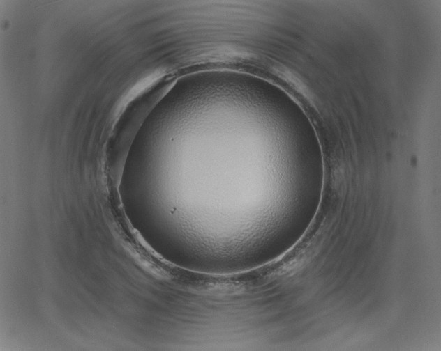 X0000068761026200604281207