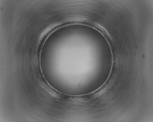 X0000068761027200604281207