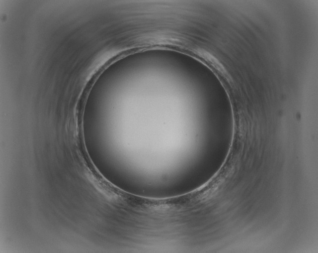 X0000068761031200604281207