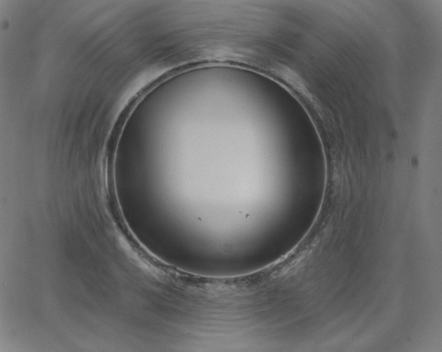 X0000068761032200604281207