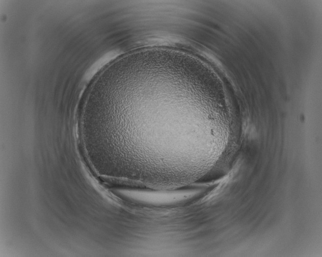 X0000068761034200604281207