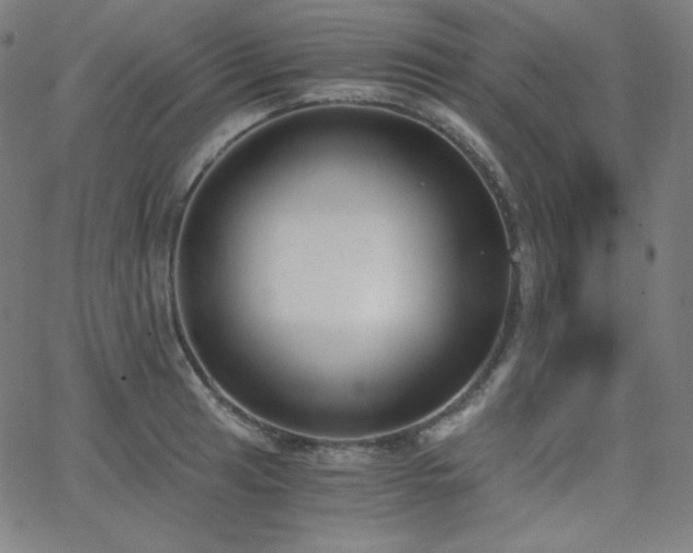 X0000068761041200604281207