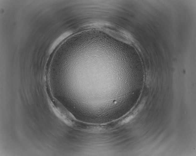 X0000068761042200604281207
