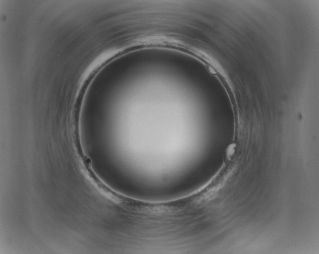 X0000068761045200604281207