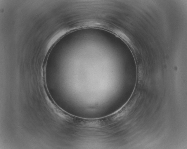X0000068761047200604281207