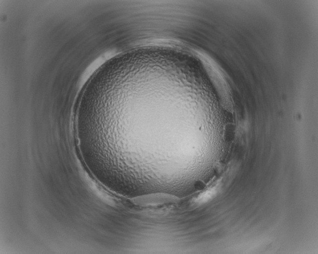X0000068761050200604281207
