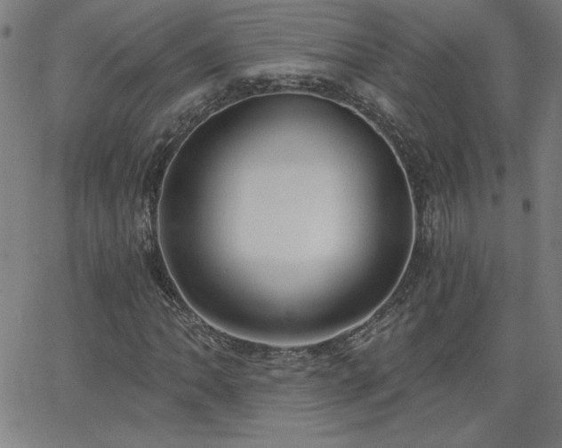X0000068761062200604281207