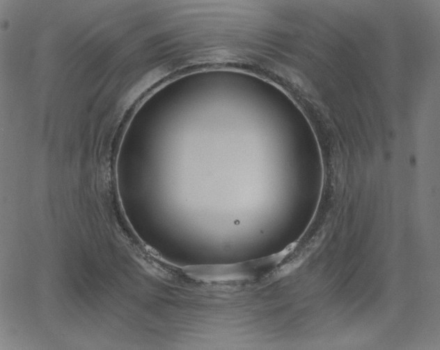 X0000068761073200604281206