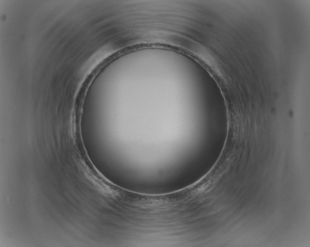 X0000068761076200604281206
