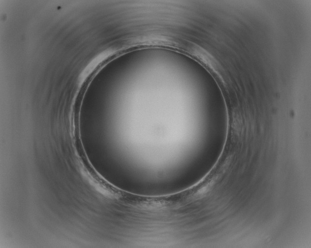 X0000068761082200604281206