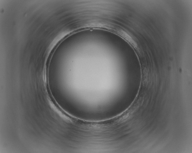X0000068761084200604281206