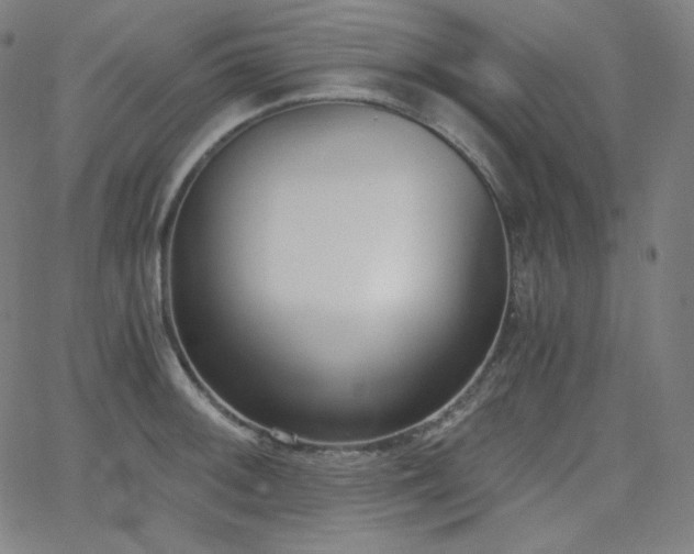 X0000068761092200604281206