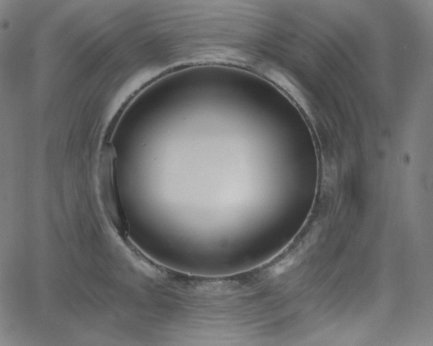 X0000068761093200604281206