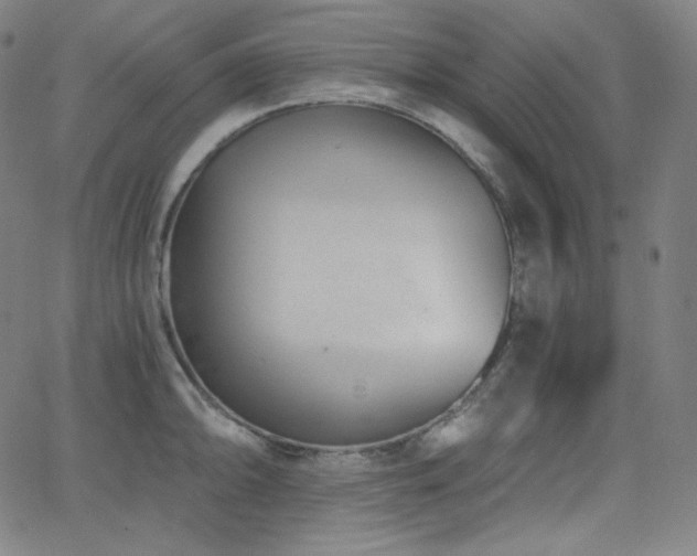 X0000068761094200604281206