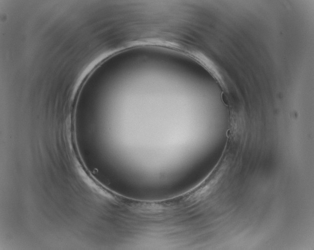 X0000068761100200604281206