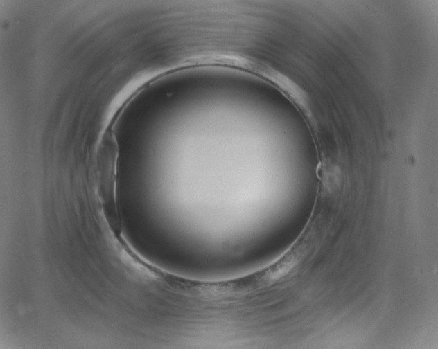 X0000068761102200604281206