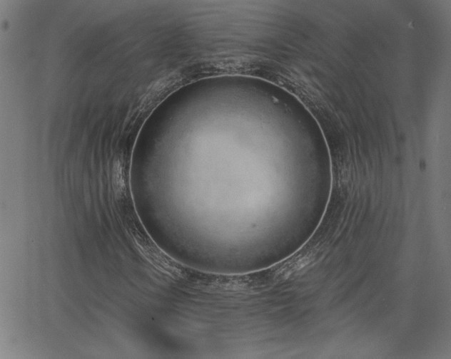 X0000068761106200604281205
