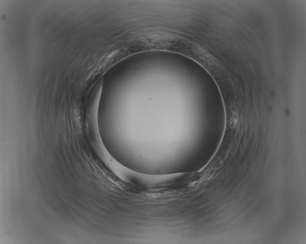 X0000068761108200604281205