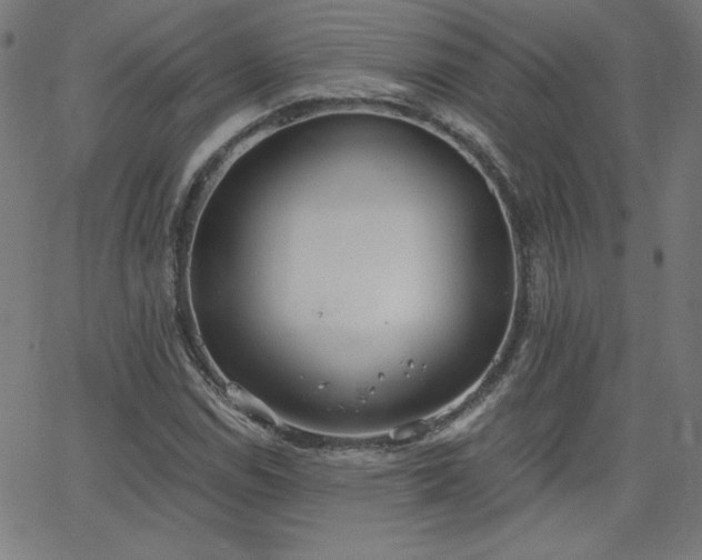 X0000068761114200604281205