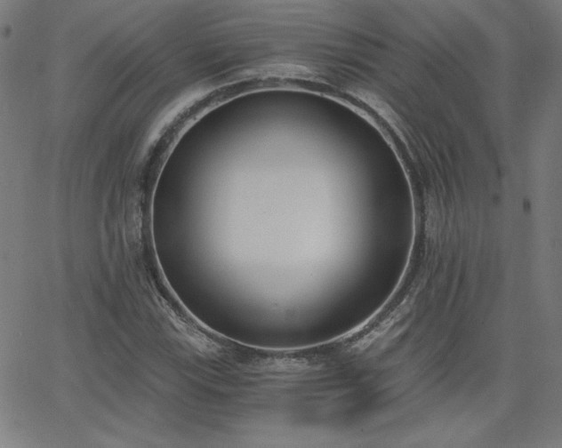 X0000068761115200604281205