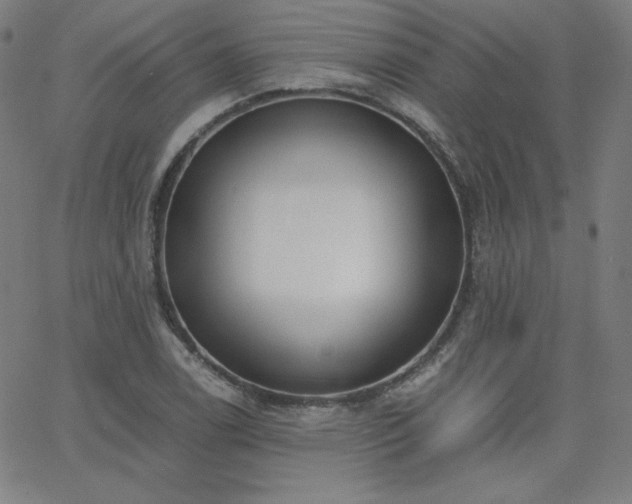X0000068761122200604281205