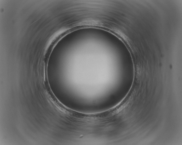 X0000068761123200604281205