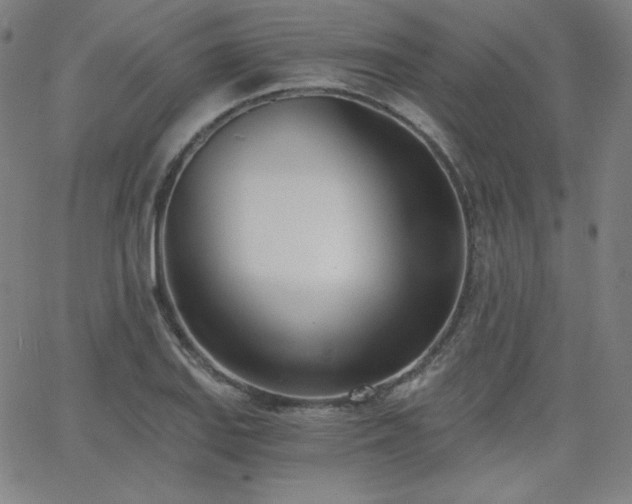 X0000068761127200604281206