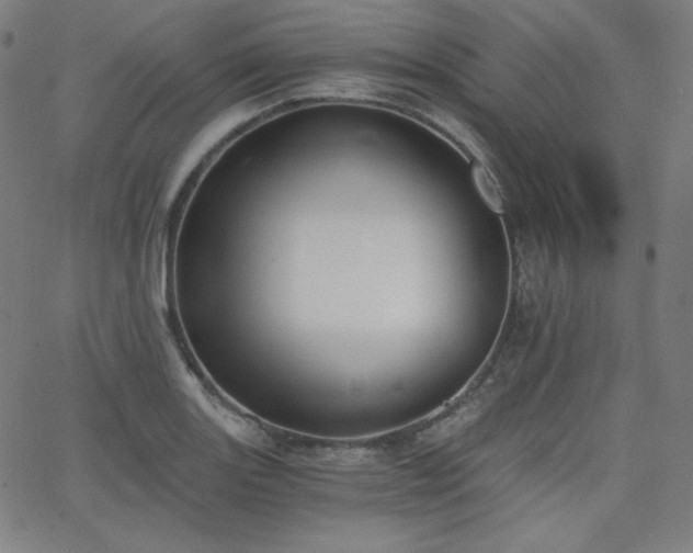 X0000068761131200604281206