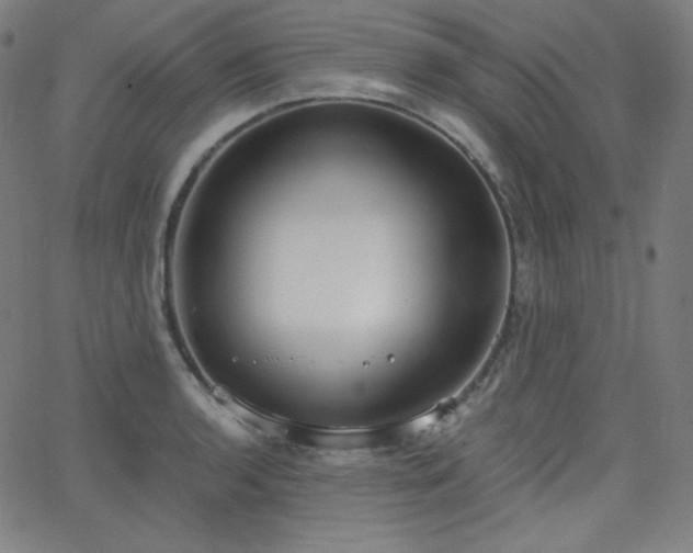 X0000068761136200604281206