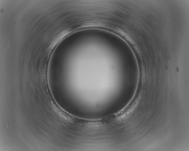 X0000068761137200604281206