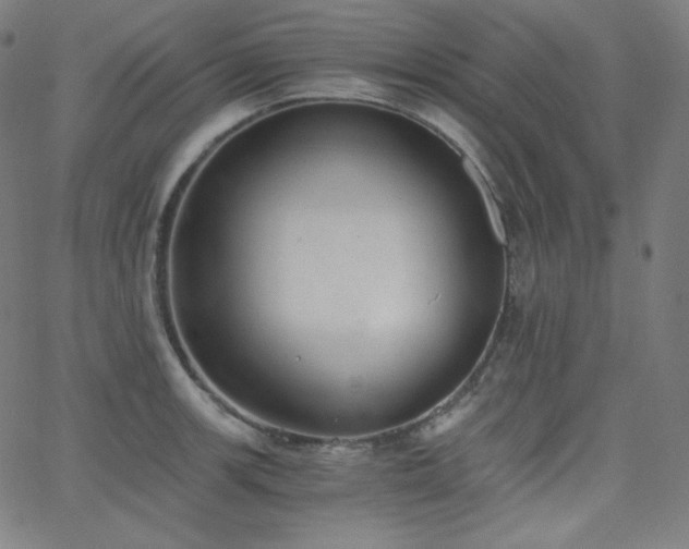 X0000068761139200604281206